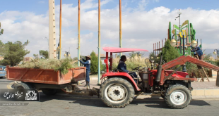 شهرداری جوادیه الهیه فلاح